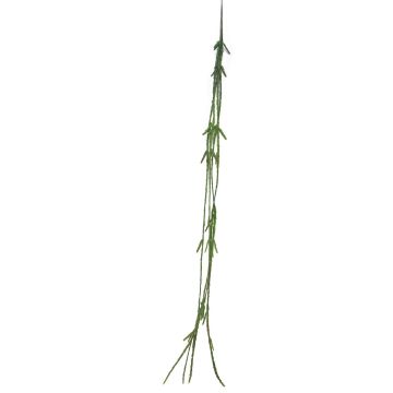 Dekohänger Rhipsalis MINYAN, Steckstab, grün, 105cm