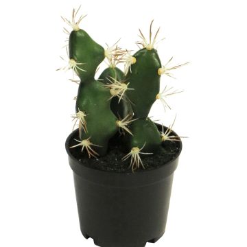 Deko Kaktus Euphorbia abyssinica ROLIN, grün, 17cm