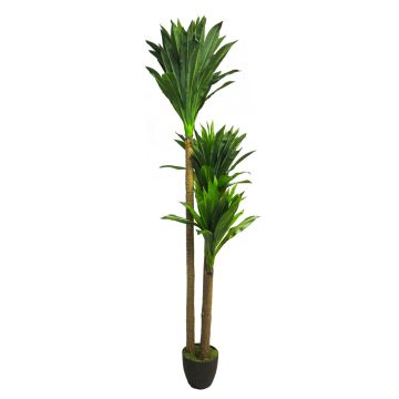 Deko Palme Yucca elephantipes SHIXING im Dekotopf, 170cm