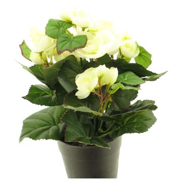 Künstliche Blume Begonie HETIAN im Dekotopf, creme, 25cm