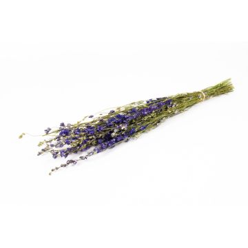 Getrockneter Strauß Rittersporn AITHANA, blau-grün, 70cm, Ø18cm