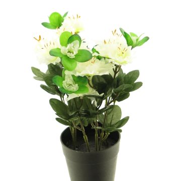 Künstliche Blume Azalee JINGSHU im Dekotopf, creme, 25cm
