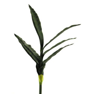 Deko Sukkulente Sansevieria SUNLIN auf Steckstab, grün, 60cm Deko Sukkulente Sansevieria SUNLIN auf Steckstab, grün, 60cm