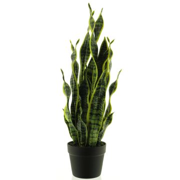 Kunst Sukkulente Sansevieria ANQING im Dekotopf, grün-gelb, 70cm Kunst Sukkulente Sansevieria ANQING im Dekotopf, grün-gelb, 70cm