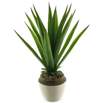 Deko Sukkulente Aloe Vera SHURUI im Keramiktopf, grün, 45cm