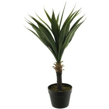 Deko Sukkulente Agave furcraea gigantea HUISHAN, Dekotopf, grün, 75cm
