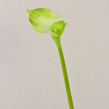 Künstliche Calla MARIOLA, grün, 80cm, 8x15cm