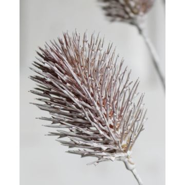 Unechte Blume Distel STEEN, creme-rosa, 80cm, Ø3-4cm Unechte Blume Distel STEEN, creme-rosa, 80cm, Ø3-4cm