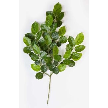 Kunst Buchenzweig ERICK, 75cm