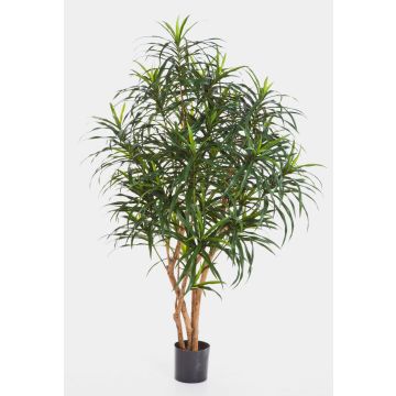Künstliche Dracaena Reflexa Anita KAYLIN, Naturstämme, grün, 120cm