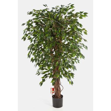 Kunstpflanze Ficus Benjamini DAKU, Naturstämme, grün, 90cm