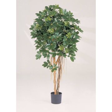 Künstliche Schefflera SIENNA, Echtstämme, grün, 110cm