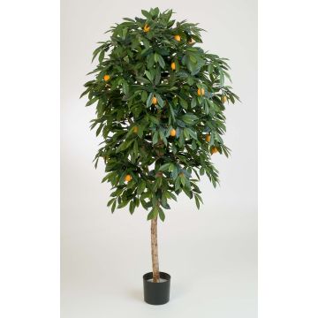 Künstlicher Orangenbaum CELIA, Echtstamm, mit Früchten, 140cm