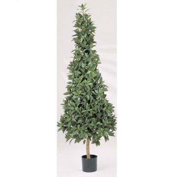 Künstlicher Lorbeerbaum Pyramide ANTONIUS, Naturstamm, 170cm