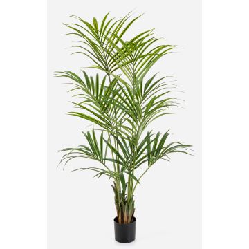 Künstliche Kentia Palme OMAYRA, 170cm