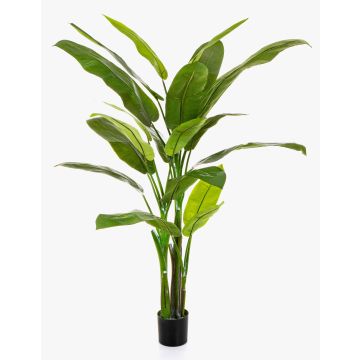 Kunstpflanze Heliconia VESA, 170cm