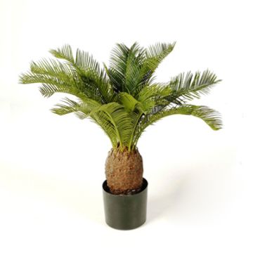 Künstliche Cycas Palme MATTHEW, 65cm