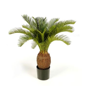 Künstliche Cycas Palme MATTHEW, 70cm