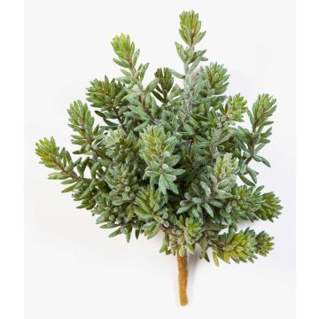 Kunst Sedum reflexum OLAVI auf Steckstab, grün, 20cm Kunst Sedum reflexum OLAVI auf Steckstab, grün, 20cm