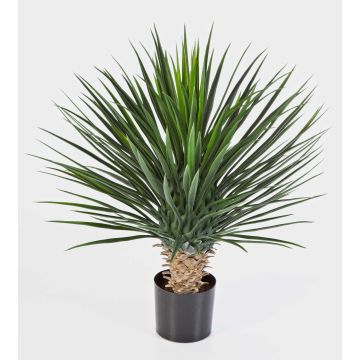 Künstliche Yucca Palme rostrata RAFFAELA, buschig, 80cm