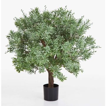 Künstlicher Crossostephium KATANA, Echtstamm, grün, 70cm