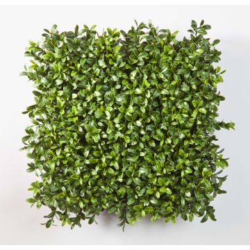 Künstliche Buchsbaum Hecke / Matte TOM, 25x25cm Künstliche Buchsbaum Hecke / Matte TOM, 25x25cm