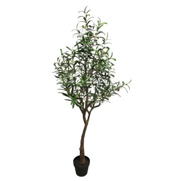 Olivenbaum künstlich LIANSHU, Kunststamm, Früchte, 150cm