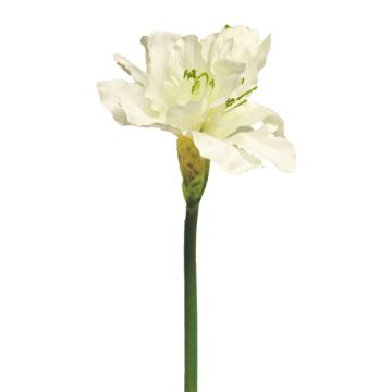 Kunstblume Amaryllis HEJIA, creme, 60cm
