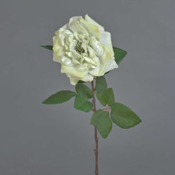 Samt Rose YUFAN, creme, 65cm, Ø15cm