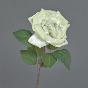 Samt Rose YUFAN, creme, 45cm, Ø13cm