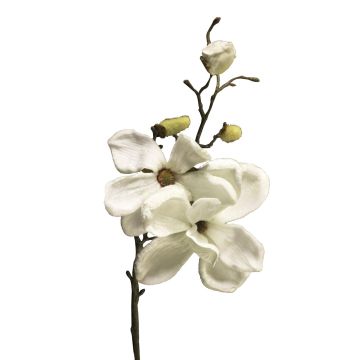 Samt Magnolie YUNFAN, creme, 45cm