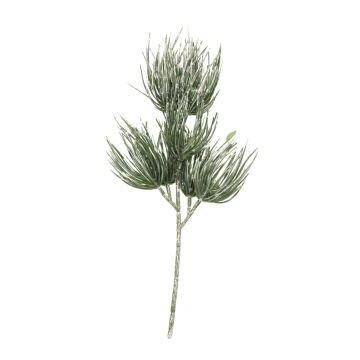 Deko Zweig Pinie TANNAN, beschneit, 35cm