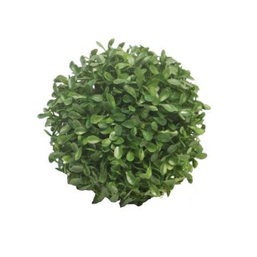Künstliche Buchsbaum Kugel FRITZ, Kunststoffgitter, crossdoor, Ø13cm