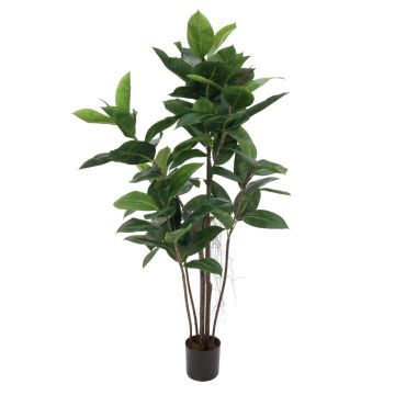 Kunstbaum Ficus Elastica VICA, Kunststämme, grün, 120cm Kunstbaum Ficus Elastica VICA, Kunststämme, grün, 120cm