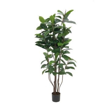 Kunstbaum Ficus Elastica VICA, Kunststämme, grün, 150cm Kunstbaum Ficus Elastica VICA, Kunststämme, grün, 150cm