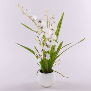 Künstliche Blume Oncidium Orchidee SHANIA, Keramiktopf, weiß-braun, 50cm Künstliche Blume Oncidium Orchidee SHANIA, Keramiktopf, weiß-braun, 50cm