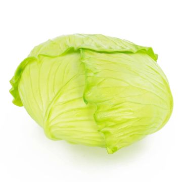 Kunststoff Kohl RAHEL, hellgrün, 10cm, Ø17cm