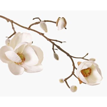 Textil Magnolie KOSTAS, weiß, 55cm, Ø6-8cm Textil Magnolie KOSTAS, weiß, 55cm, Ø6-8cm
