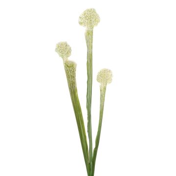 Kunst Sukkulente Sarracenia SIMANA auf Steckstab, weiß-grün, 65cm