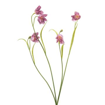 Künstlicher Zweig Schachbrettblume PITARA, pink-weiß, 50cm