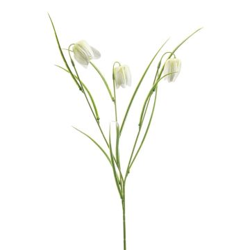 Kunst Zweig Schachbrettblume REMARA, weiß-grün, 55cm
