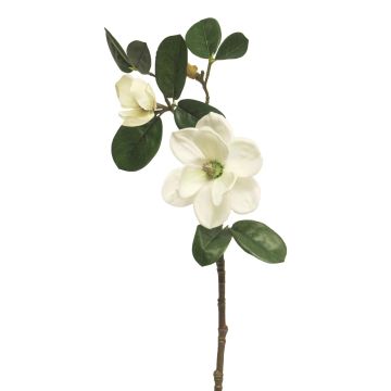 Kunstblume Magnolie KETIAN, weiß, 50cm Kunstblume Magnolie KETIAN, weiß, 50cm