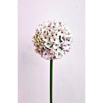 Allium künstlich LOKJAN, weiß-violett, 70cm Allium künstlich LOKJAN, weiß-violett, 70cm