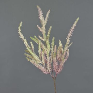 Plastikblume Prachtspiere QIMEI, pink-grün, 70cm, Ø10cm