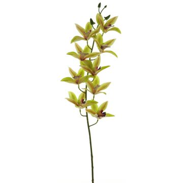 Dekozweig Cymbidium Orchidee YAMEI, grün-pink, 80cm, Ø8-9cm