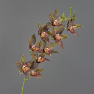 Dekozweig Cymbidium Orchidee YAMEI, dunkelrot-grün, 80cm, Ø8-9cm