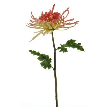 Dekoblume Chrysantheme YASULI, pink-gelb, 70cm, Ø18cm