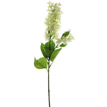 Kunstblume Flieder NAJUAN, creme, 80cm, Ø6-8cm