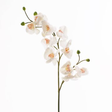 Plastik Phalaenopsis Orchideen Zweig STINA, weiß, 90cm, Ø7-9cm