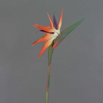 Plastik Papageienblume ZAMIRA, orange-violett, 95cm, 16x32cm